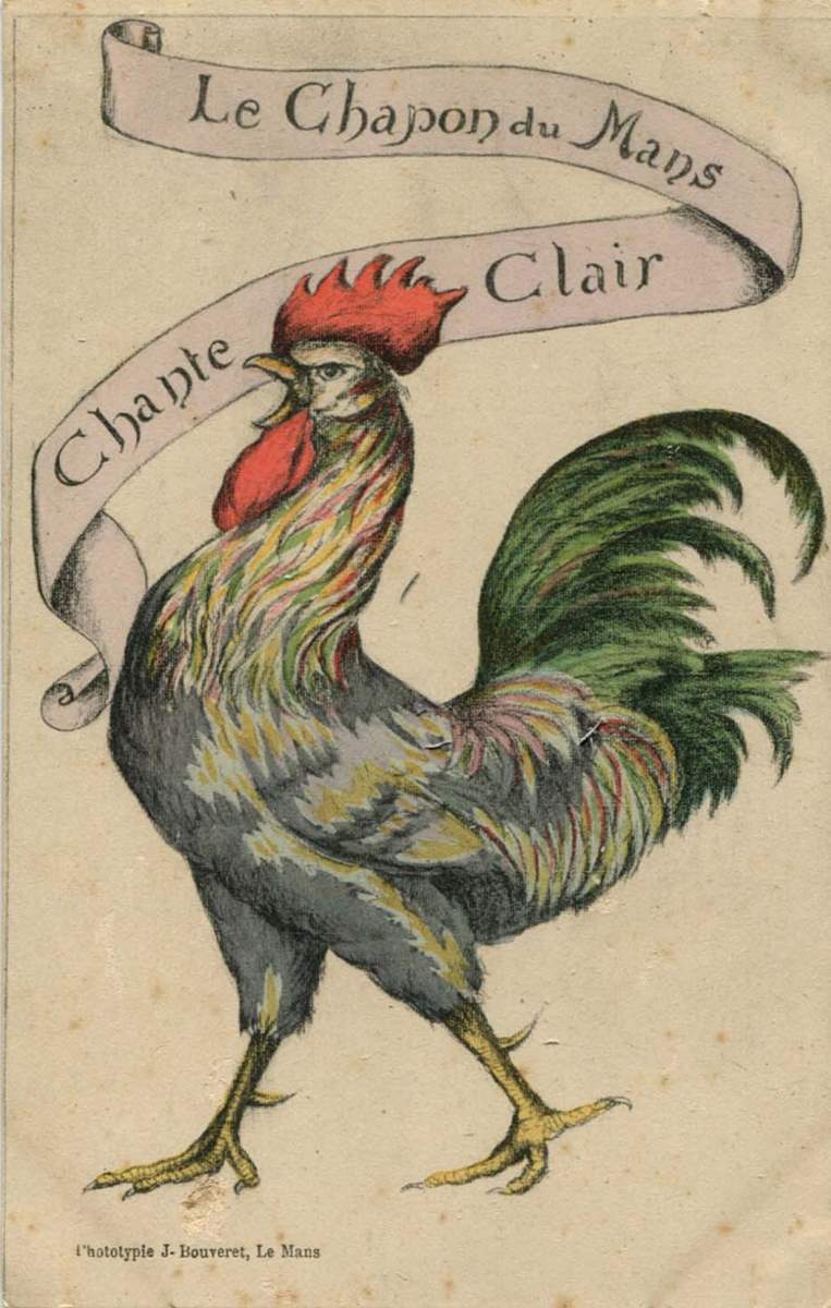 Chromo Le Chapon du Mans Chante Clair