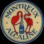 Timbre-monnaie de 30 pfennig vert sur fond noir �mis par Montreux Alcaline en Suisse - avers