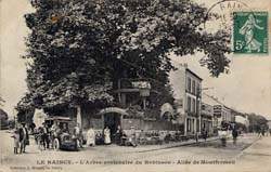 Le Raincy - L'Arbre centenaire du Robinson - All�e de Montfermeil - 1908