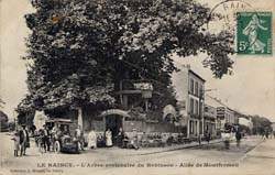 Le Raincy - L'Arbre centenaire du Robinson - Allée de Montfermeil - 1908