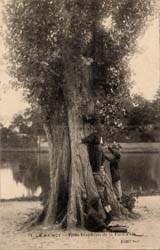 Le Raincy - Les petits d�nicheurs de la pi�ce d'eau en 1908
