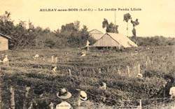 Aulnay-sous-Bois - Le Jardin Perdu Lilois