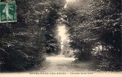 Clichy-sous-Bois - Notre-Dame des Anges - Chemin sous bois