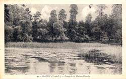 Gagny - L'Etang de Maison Blanche - 1931