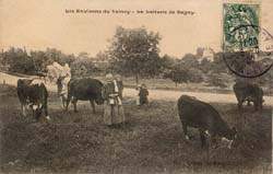 Gagny - La Laiterie de Gagny en 1907