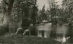 Montfermeil - Les Sept Iles