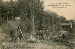 Villemomble - Bûcherons dans les bois du Plateau d'Avron en 1912